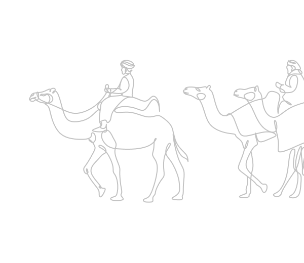 Плескавица тест 2